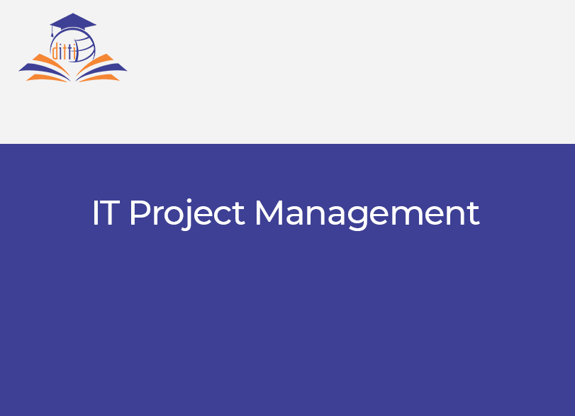 7. IT Project Management